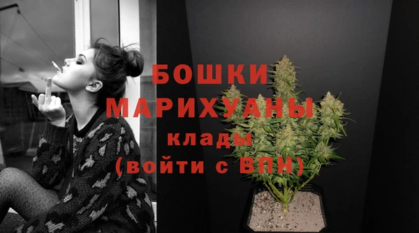 индика Пролетарск