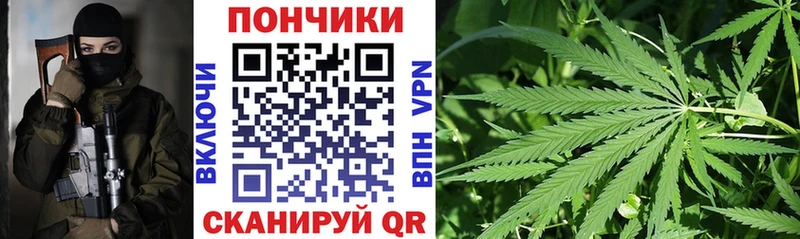Бошки Шишки сатива  наркошоп  Малоярославец 